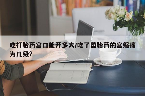 网上流产药专卖微信,吃打胎药宫口能开多大/吃了堕胎药的宫缩痛为几级?