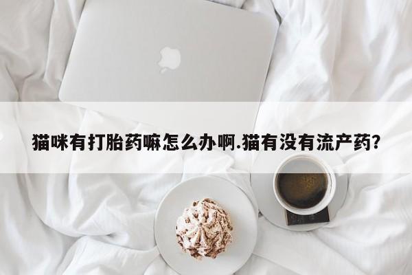 网上流产药专卖微信,资讯 第61页