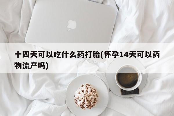 网上流产药专卖微信,十四天可以吃什么药打胎(怀孕14天可以药物流产吗)